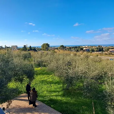 Daniela チェファル